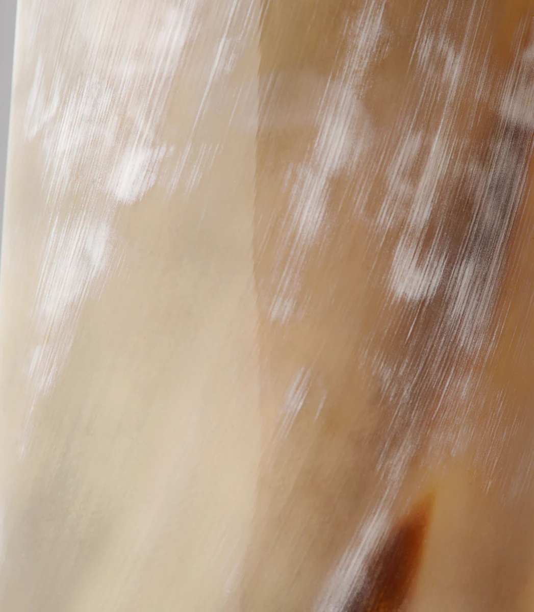 Oxhorn Tip Shoehorn - Image 3